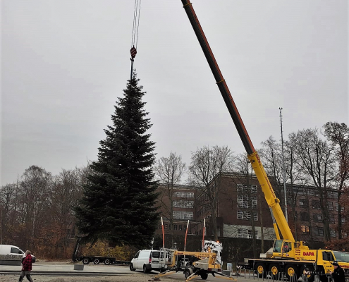 Weihnachtstanne Strandbad 2022 _5