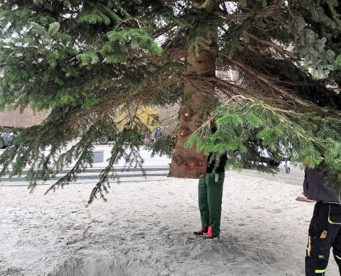 Weihnachtstanne Strandbad 2022 _6