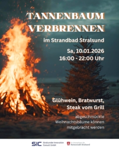 Tannenbaum verbrennen (Instagram-Post (45))