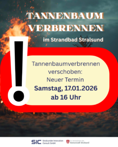 Tannenbaum verbrennen (Instagram-Post (45))